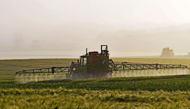 Overuse of pesticides