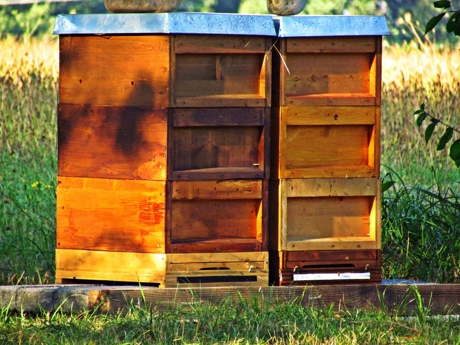 Moveable frame beehive