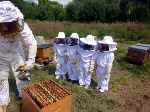 Beekeeping class