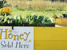 Beekeeping shop