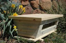 Another top bar hive
